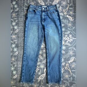 PacSun Blue medium wash Mom Jeans